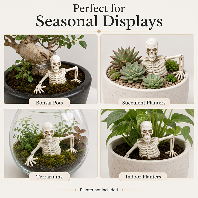 Décoration de jardin en forme  - Bonsai Garden Landscape Design avis et prix